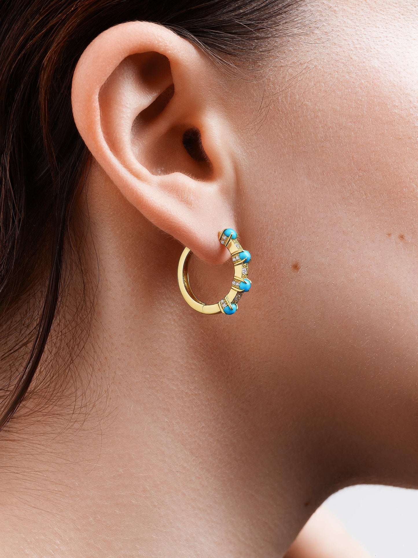 Dakota Diamond and Turquoise Earrings