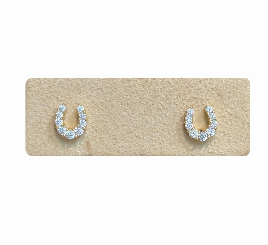 Horseshoe Earrings