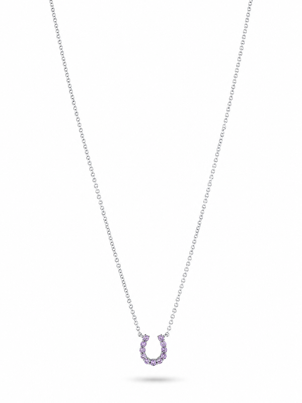 Mini Amethyst Horseshoe Necklace