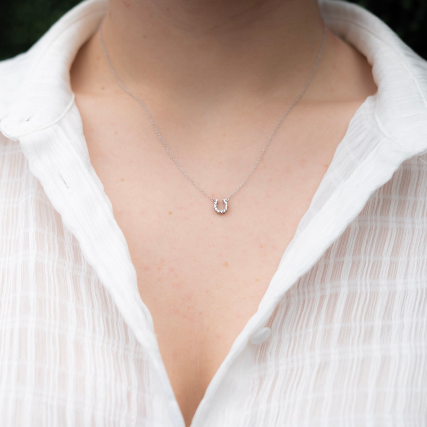 Mini Diamond Horseshoe Necklace
